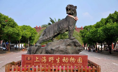 上海野生動物園演出擴(kuò)聲