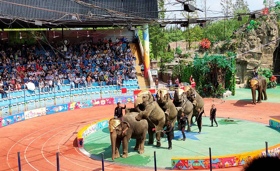 上海野生動物園演出擴(kuò)聲（images 3）