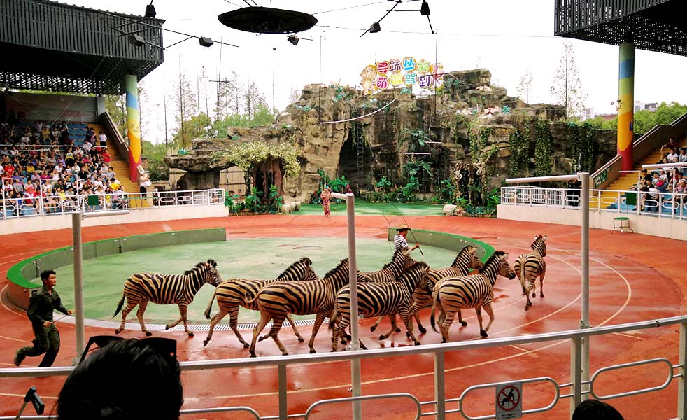 上海野生動物園演出擴(kuò)聲（images 4）