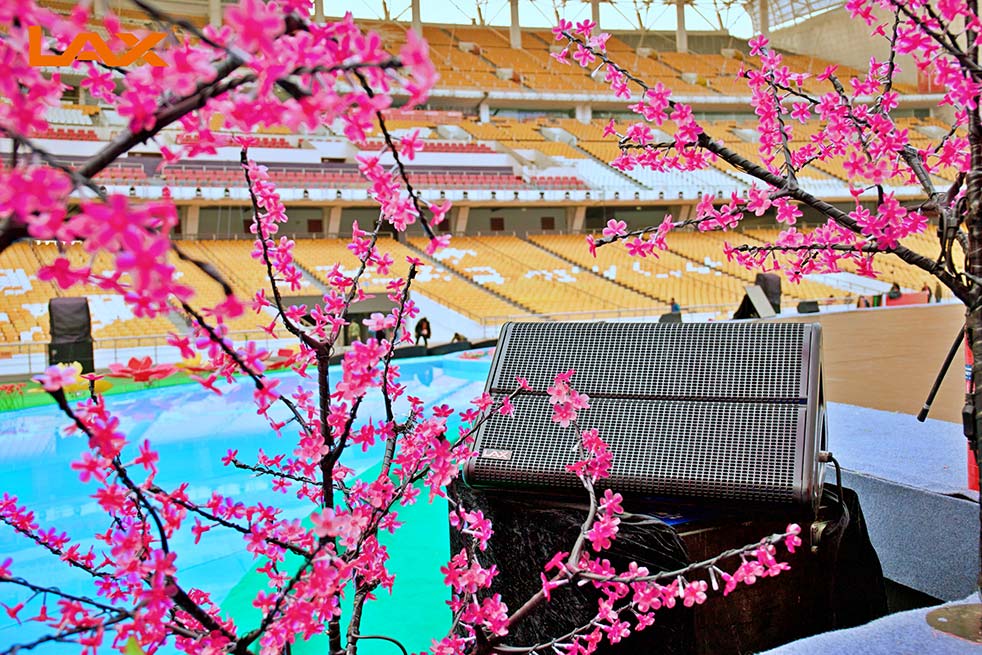 2019-2020“廣州過年·花城看花”擴(kuò)聲（images 7）